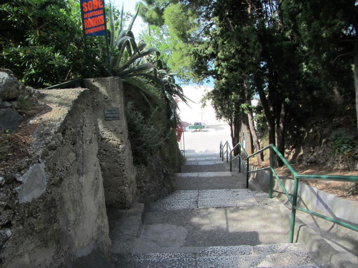 Anton * Makarska